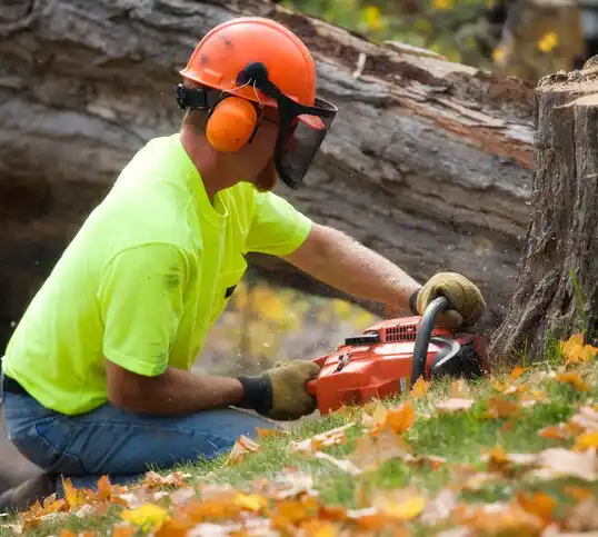 tree services Ringgold